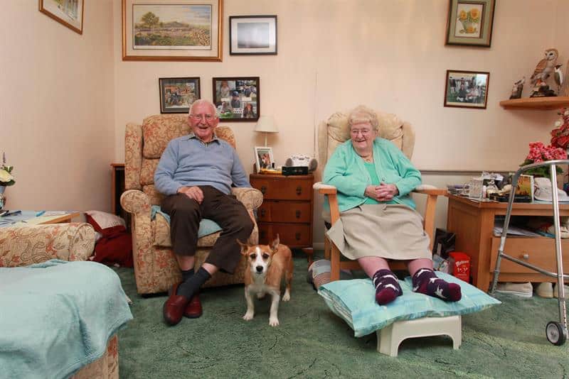 Two elderly people are sitting in arm chairs with a small dog standing in between them