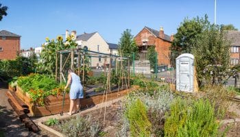 A panoramic image of urban allotments