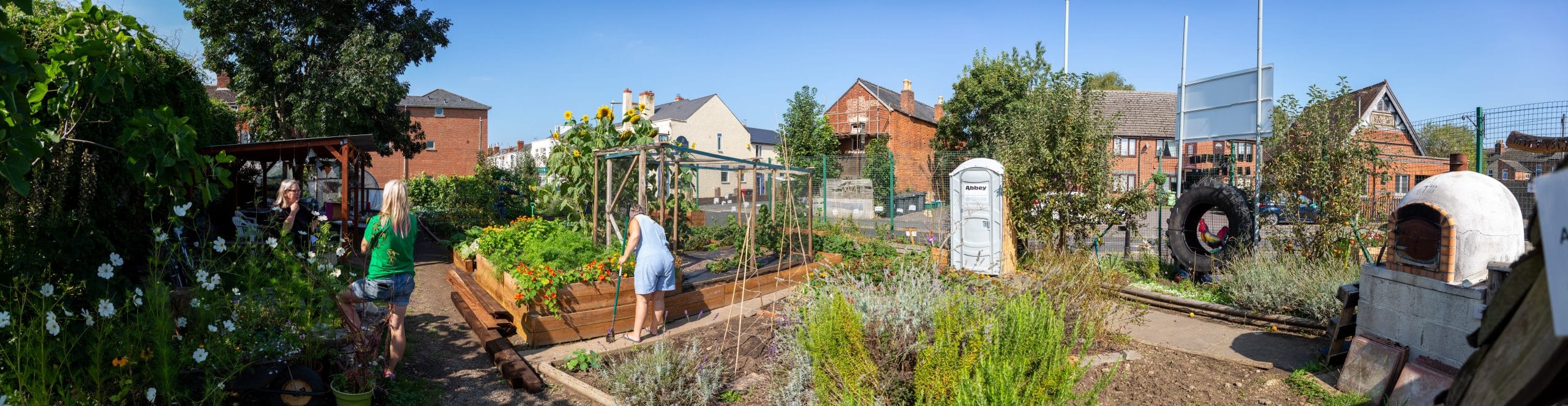 A panoramic image of urban allotments