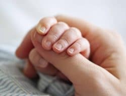A baby's hand holding an adult's thumb